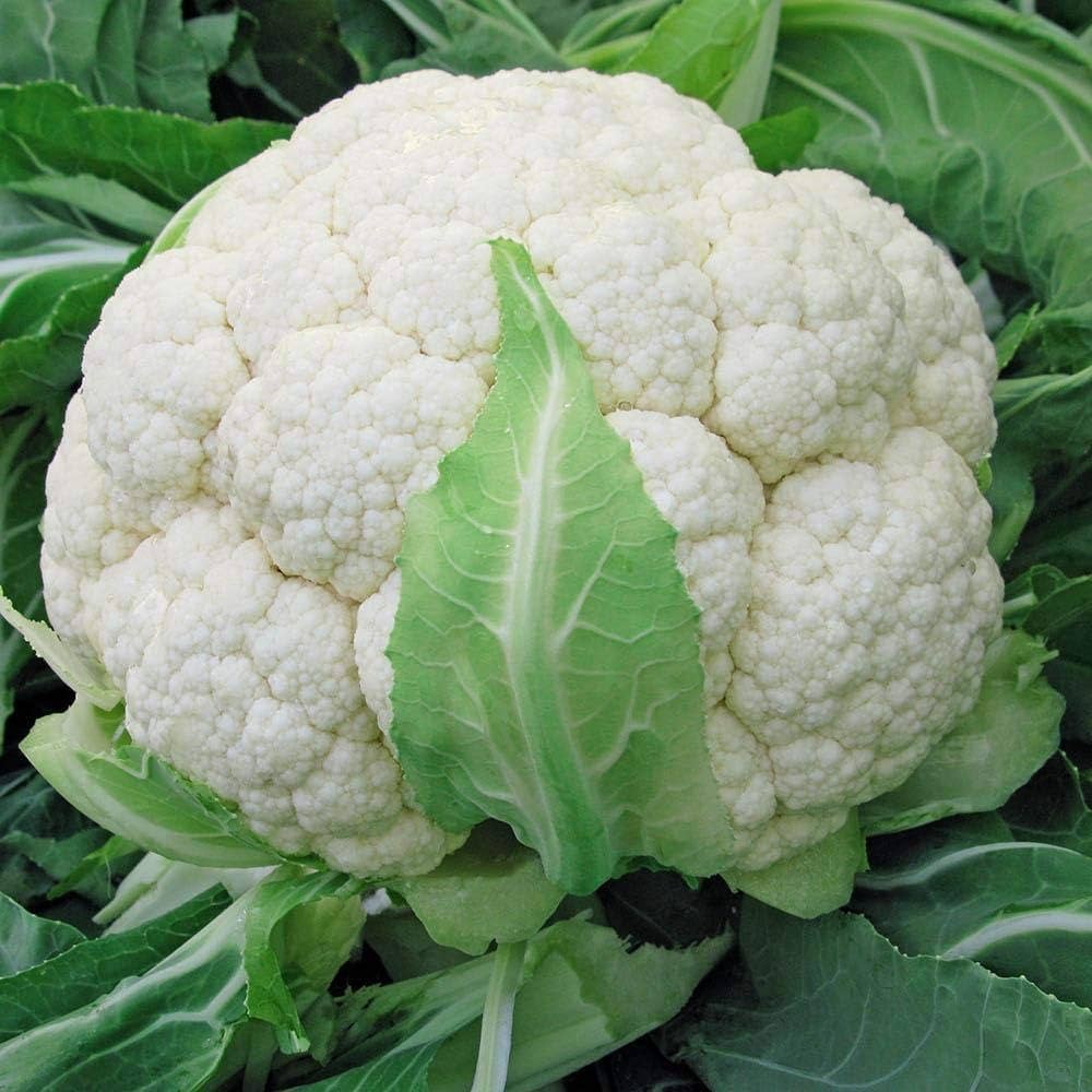 DOLE Cauliflower Big 1 LBS