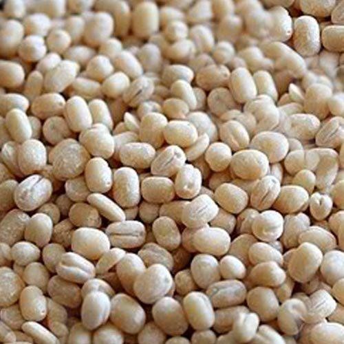 ORGANICS URAD WASHED GOTA DAL 4 LBS