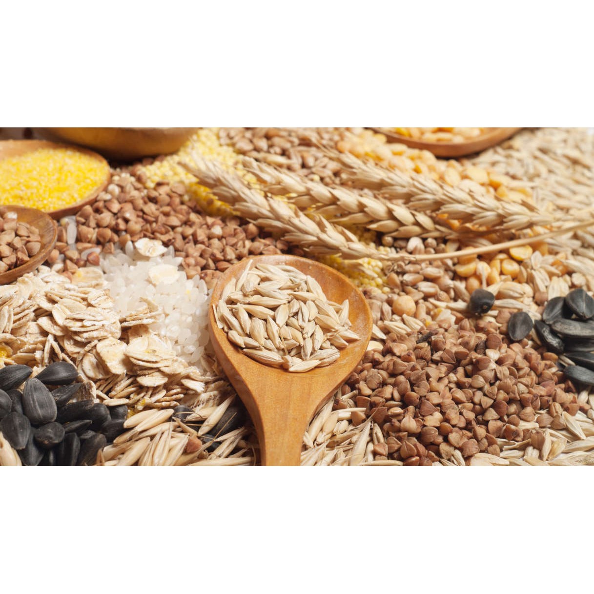 Panvivis 5 Cereali Riso, Orzo, Segale, Avena & Farro 11.3 OZ