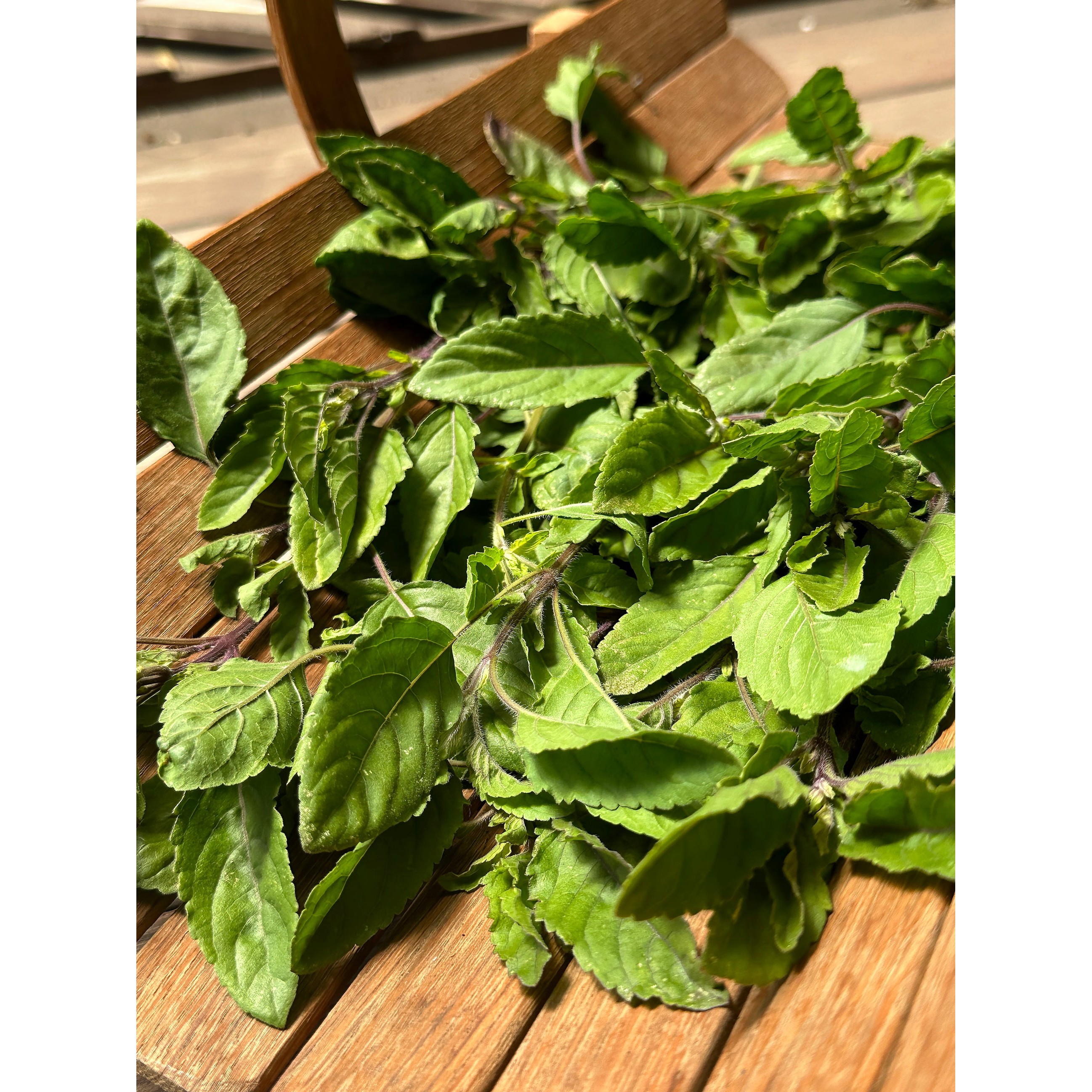 HERBI TULSI /NEEM LEAVES 29 GM