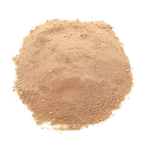 Fasal Amchur Powder 100 GM