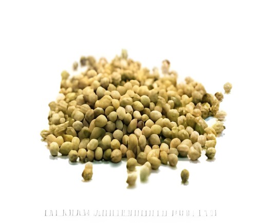 Fasal Coriander Seeds 400 GM