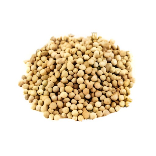 Fasal Coriander Seeds 100 GM