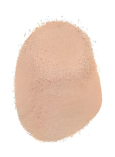 Fasal Amchur Powder 200 GM