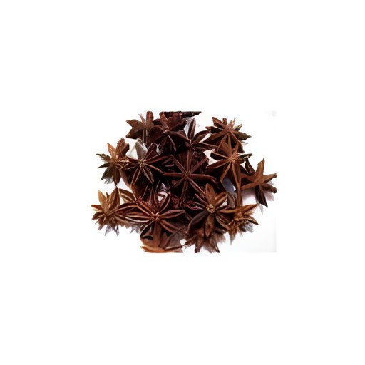 Fasal Star Anise Seed 100 GM