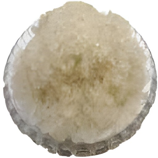 M.M Kalmishora 250 GM