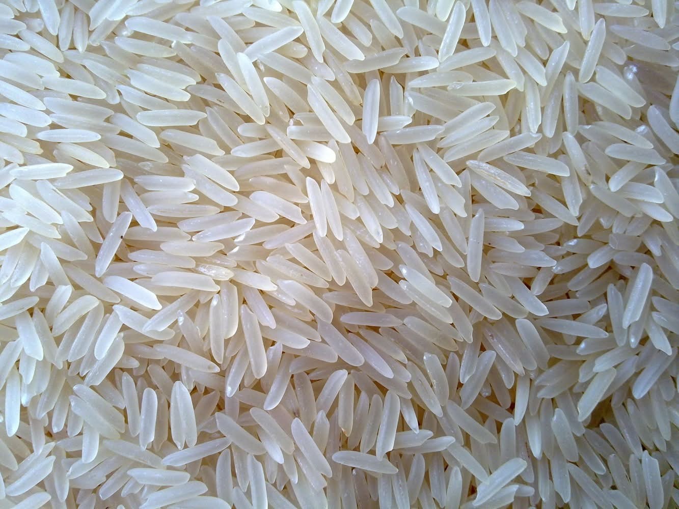 Kissan Basmati Rice 10 LBS