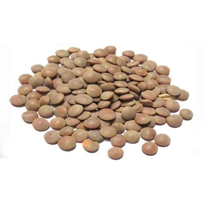 Aiva Masoor Dal 1 LBS