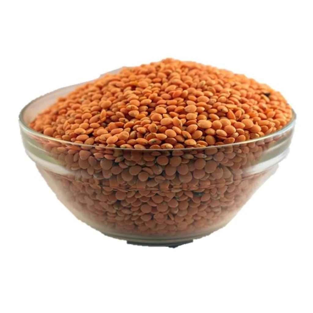 Aiva Masoor Malka 2 LBS