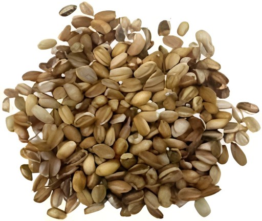 Aiva Org Barley Puff 100 GM