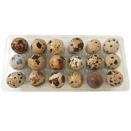 MULAN QUAIL EGGS 18 PACK 18 COUNT