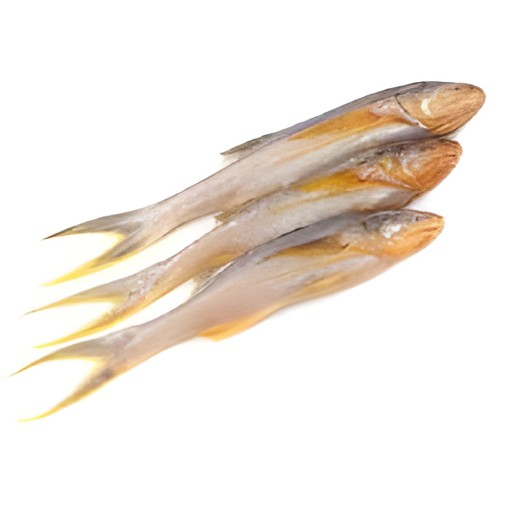 Tapashi 1 LBS
