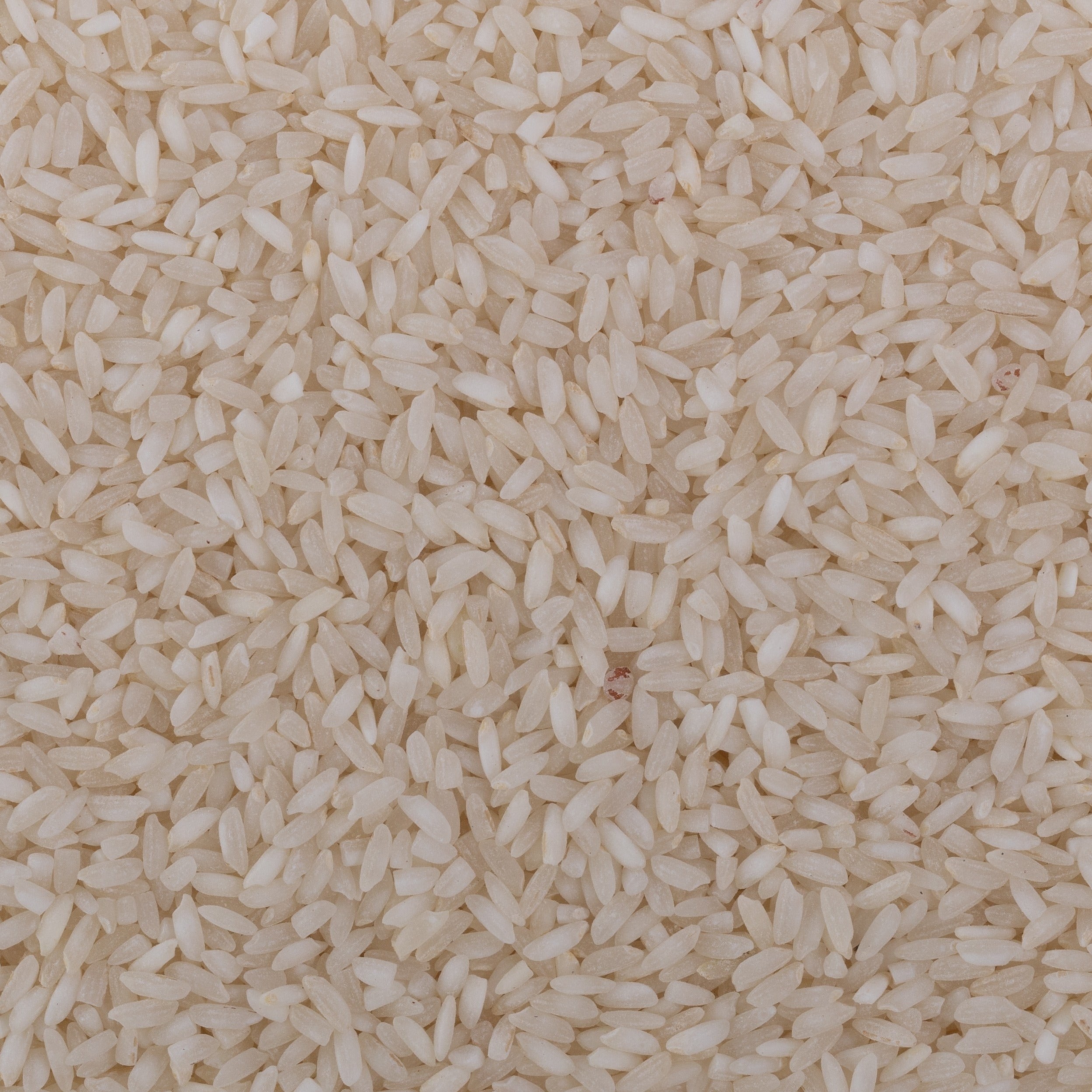 SURATI KOLAM RICE KRISHIV 10 LBS