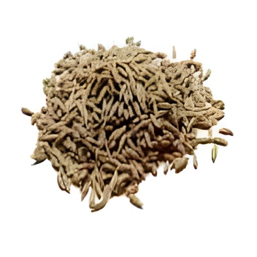CUMIN SEEDS 400 GM