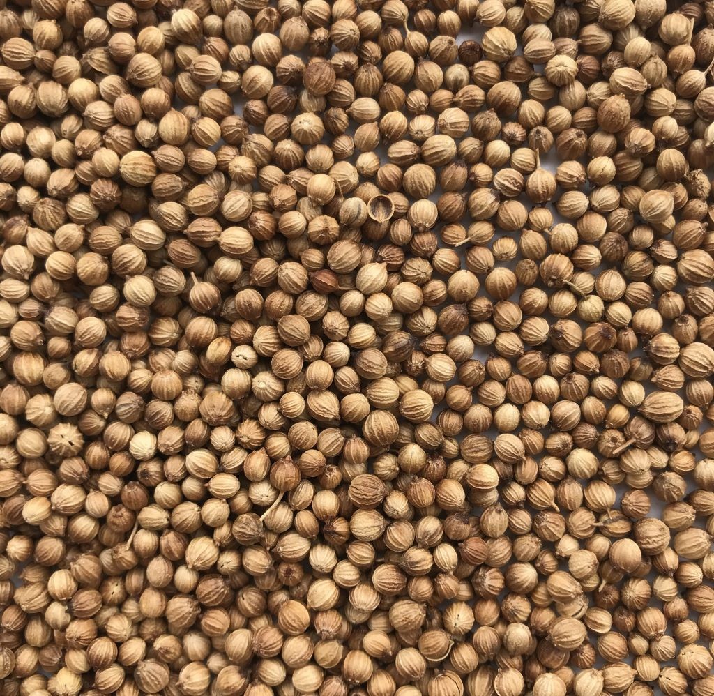 Durbar Coriander Seeds 14 OZ