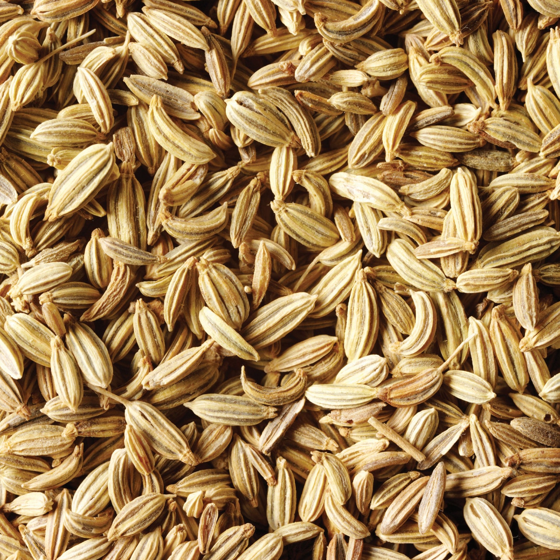 Durbar Fennel Seeds 300 GM