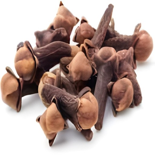 DR CLOVE WHOLE 100 GM