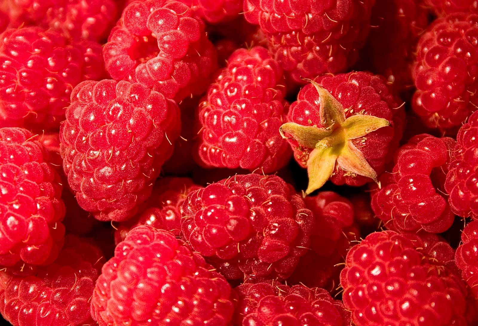 RASPBERRIES 6 OZ