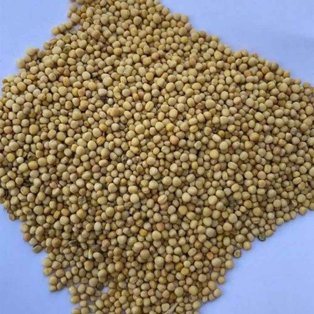 T Chef Mustard Seeds 800 GM