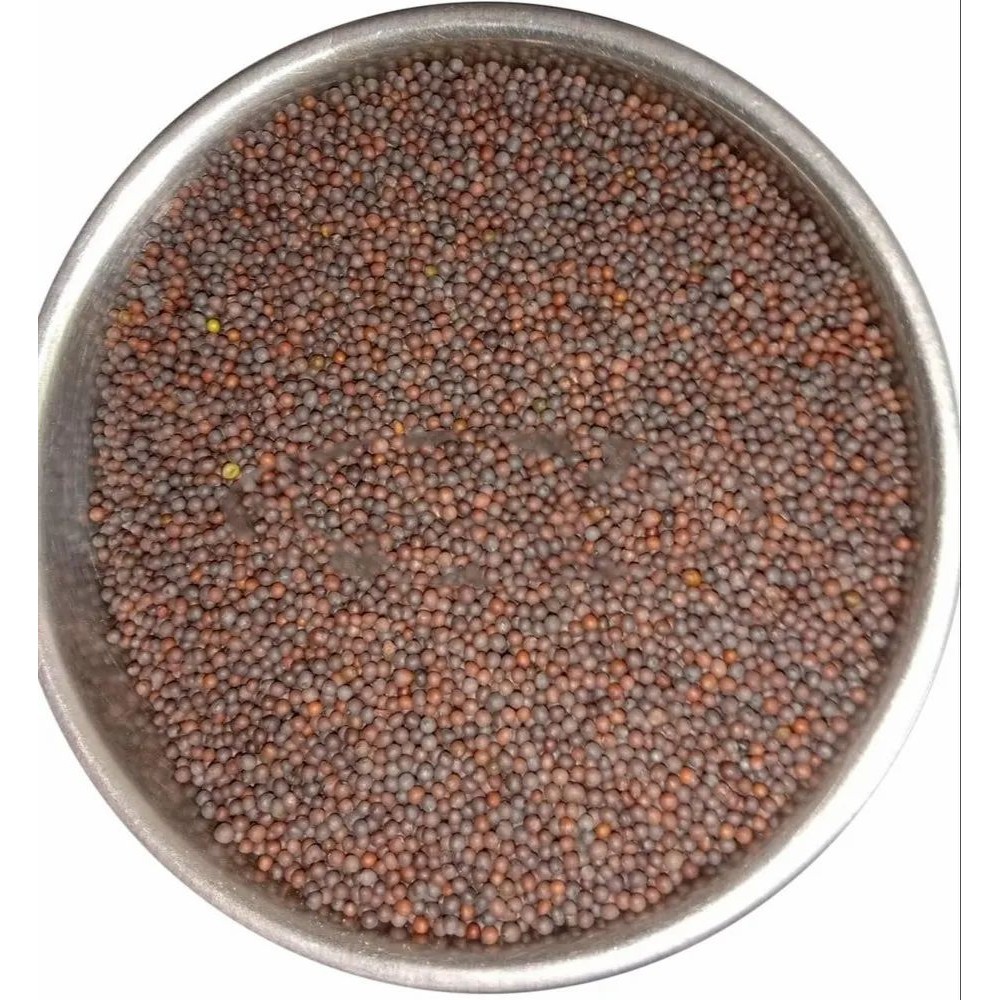 Lal Tadka Mustard Seeds Bold 200 GM