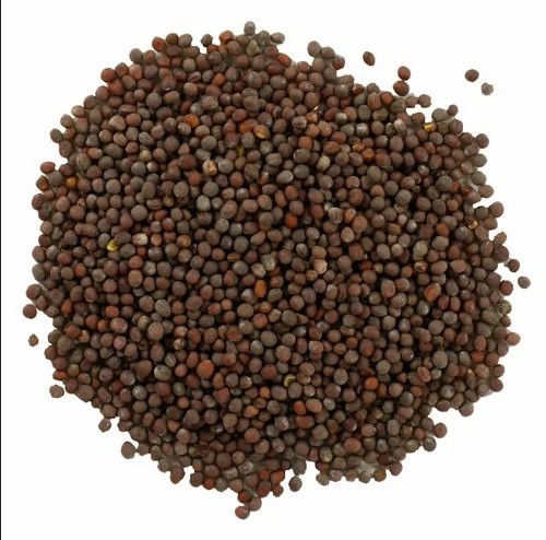 Lal Tadka Mustard Seeds Bold 400 GM