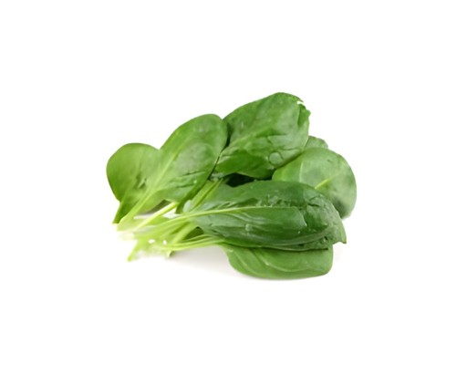 Spinich 1 BUNCH