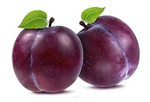 PLUM 1 LBS