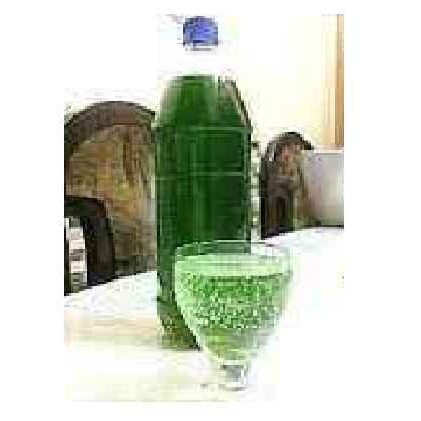 CHETTINAD KHUS SYRUP 750 GM