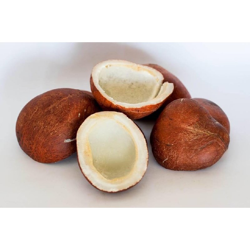 Chettinad Dried Full Coconut 170 GM