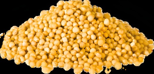 YELLOW MUSTARD SEED   200 GM