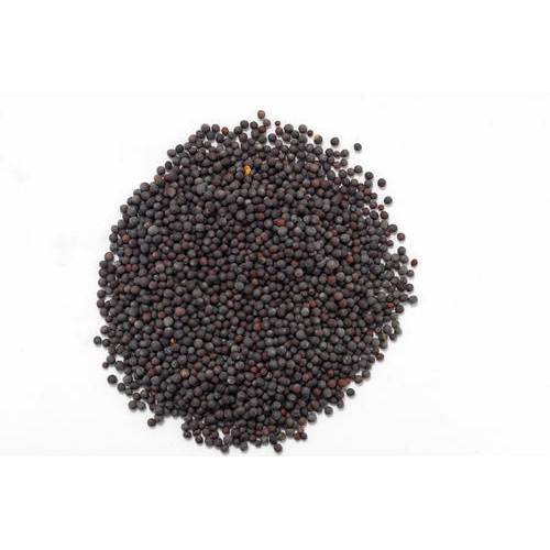 GURU RAI 200 GM