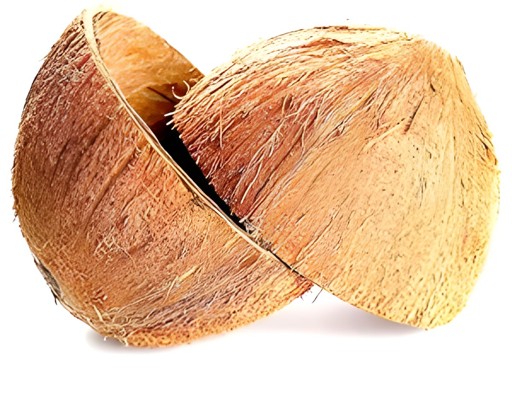 Guru Cocount Halves 200 GM