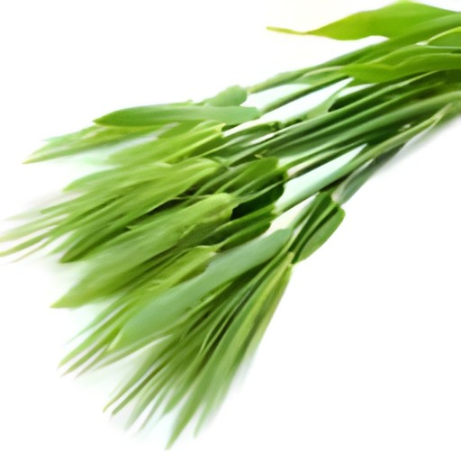 Emerald Barley Grass 100 GM