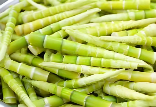 Fresh Bamboo  1 LBS