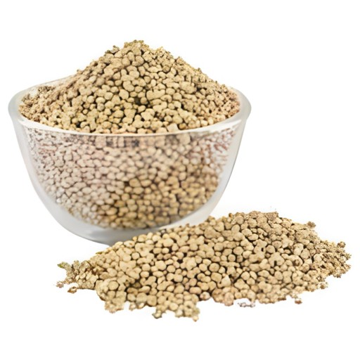 Roshni Coriander Seed 200 GM