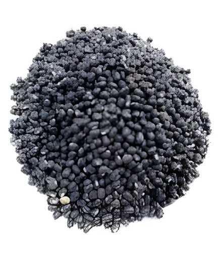 Roshni Urad Whole