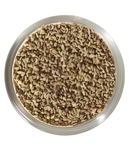 Ajwain Seed