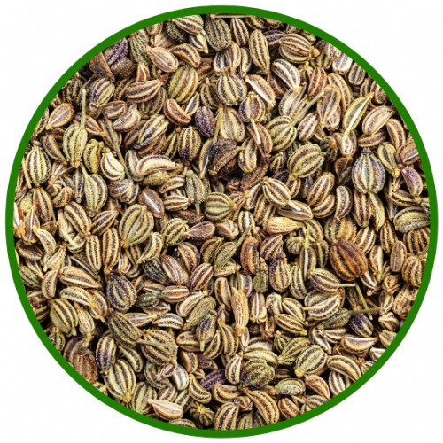 ROSHNI AJWAIN SEED 800 GM