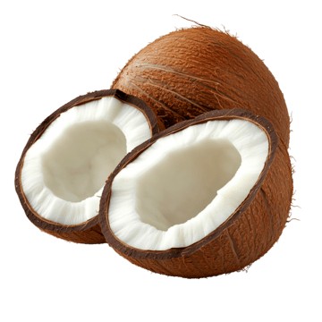 Khush Coconut Half 200 GM