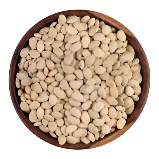 Khushboo Surti Val 2 LBS