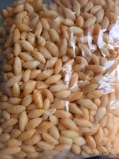 Khushboo Wheat Mamra 400 GM