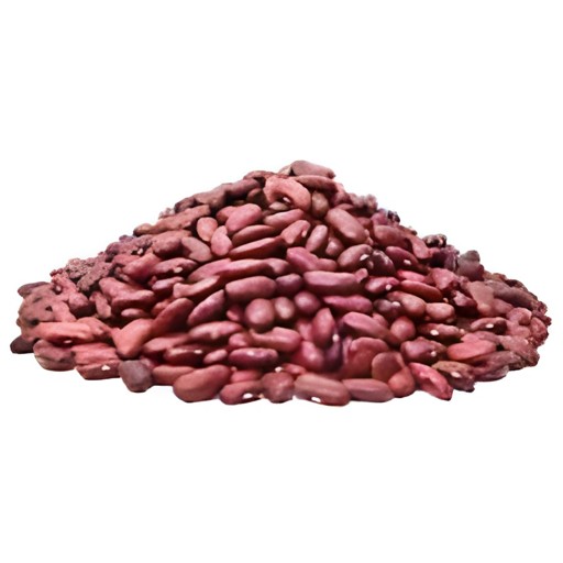 KHUSHBOO KIDNEY BEANS 1 LBS