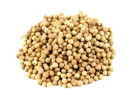 Khushboo Coriander Seed 200 GM