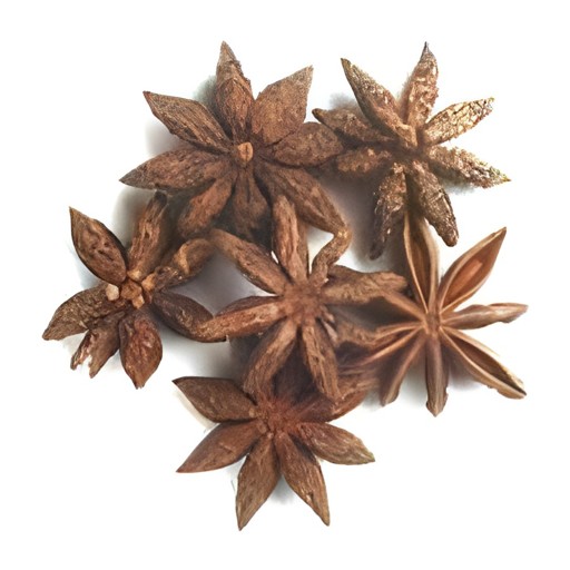 Khushboo Star Anise Seed 100 GM