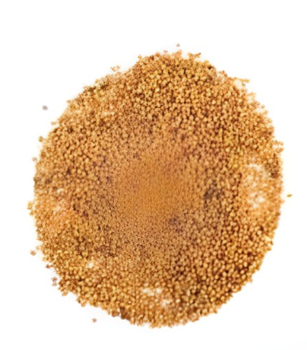 GB Mustard Seed 100 GM