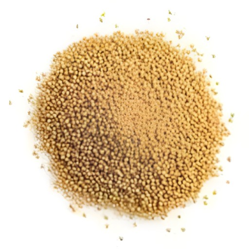 GB Mustard Seed 400 GM