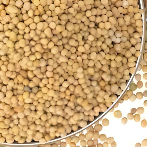 GB Mustard Seeds 5 LBS