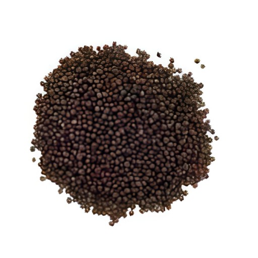 GB Andhra Mustard Seeds 200 GM