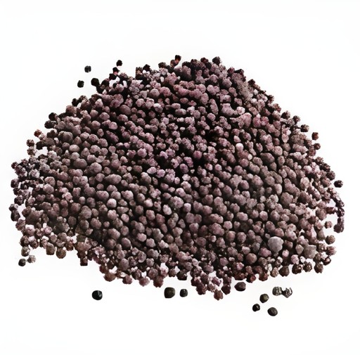 GB Andhra Mustard Seed 400 GM