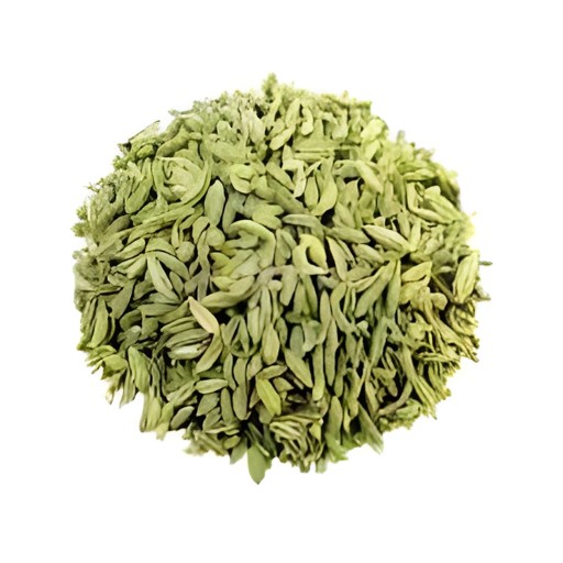 GB Fennel Seeds 100 GM